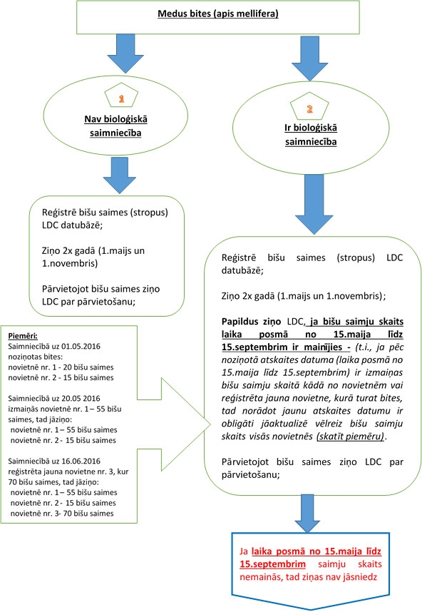 Skaidrojošā informācija par bitēm