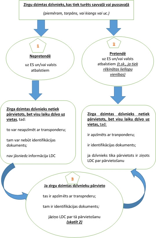 Skaidrojošā informācija par zirgiem