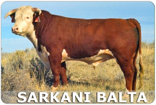 Sarkani balta