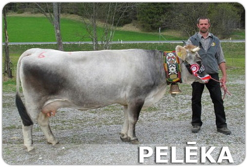 Pelēka