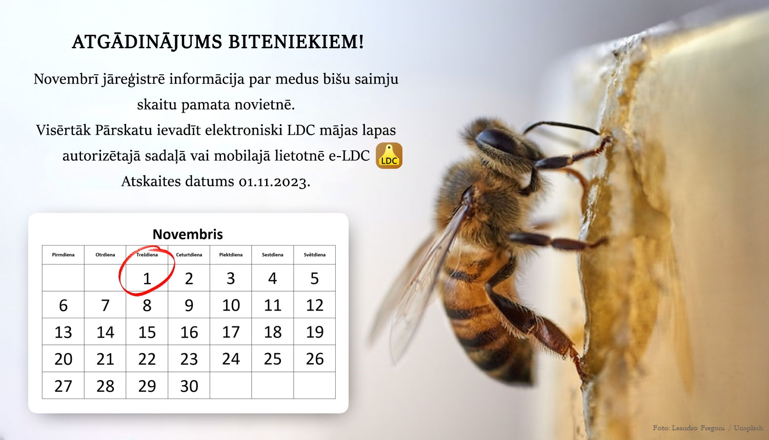 Atgādinājums bišu saimju īpašniekiem