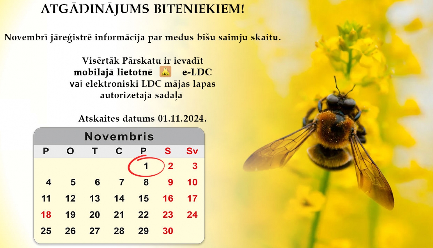 Bišu saimju īpašniekiem