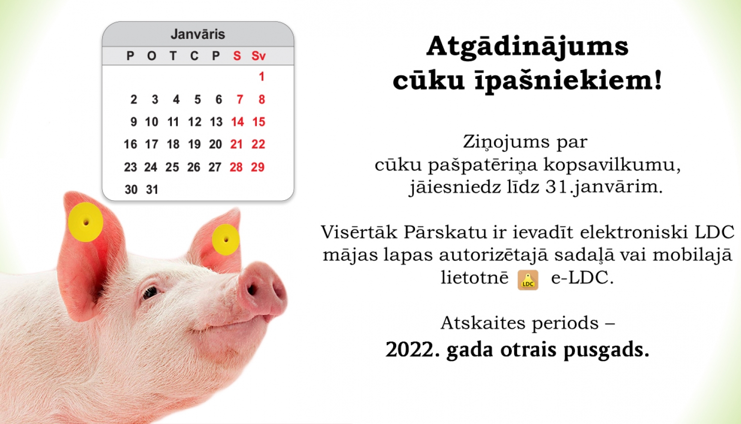  Cūku pašpatēriņa kopsavilkums 2022. gada otrais pusgads