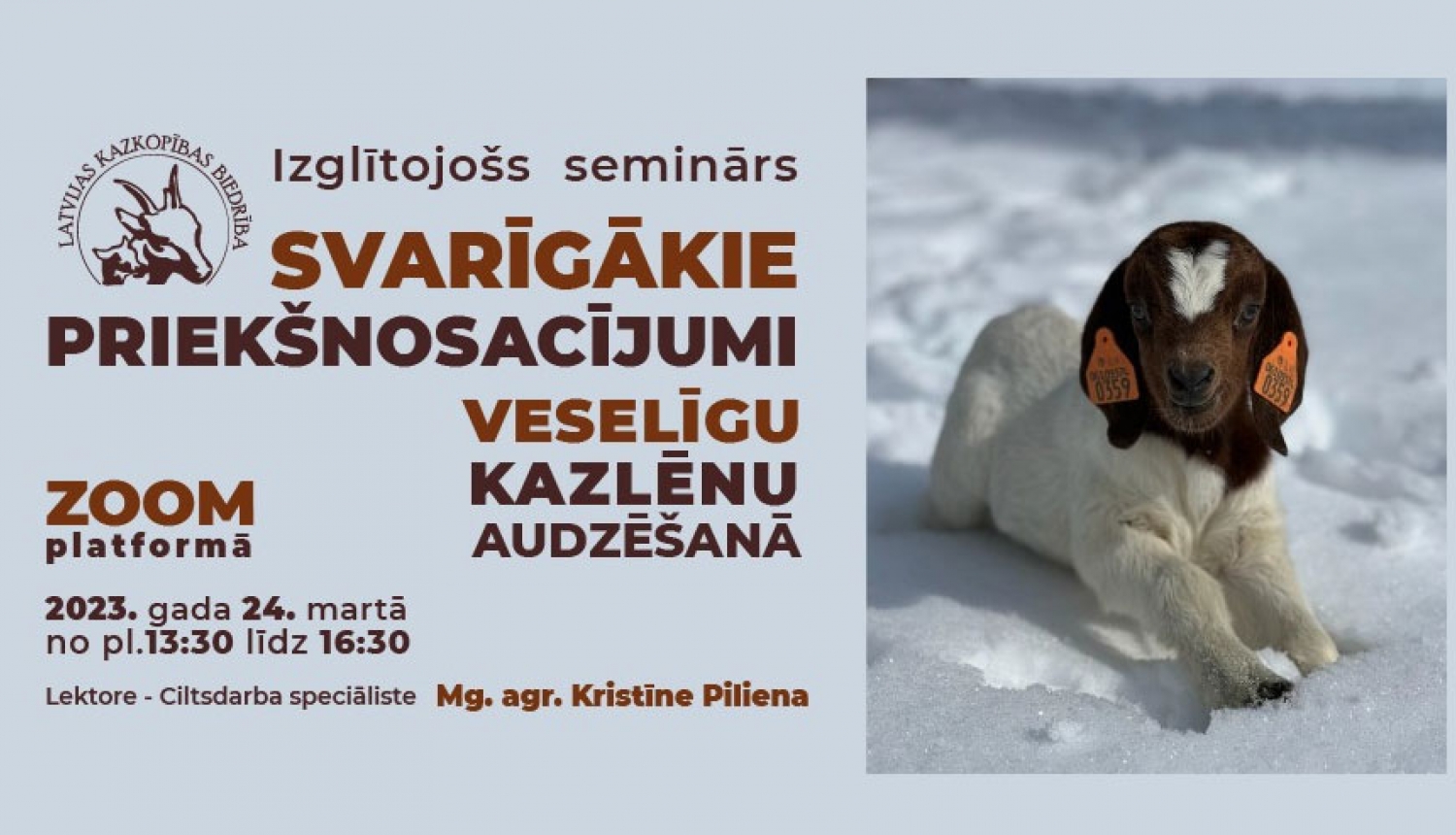 Pasākuma afišas bāneris
